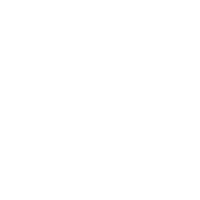Logo-NSA